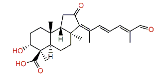 Jaspiferal D